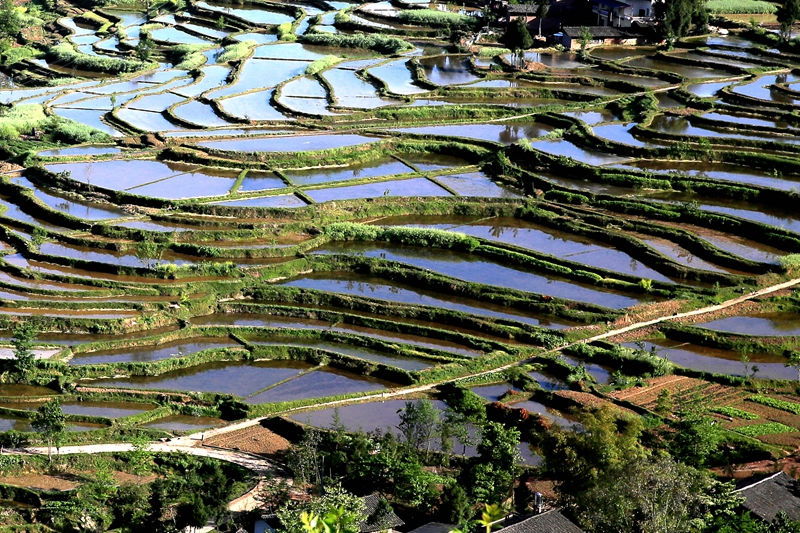 梯田
